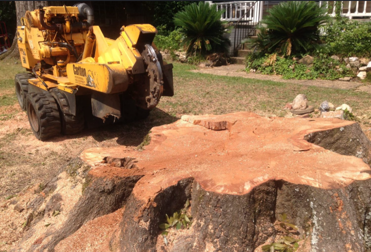 Large stump removal